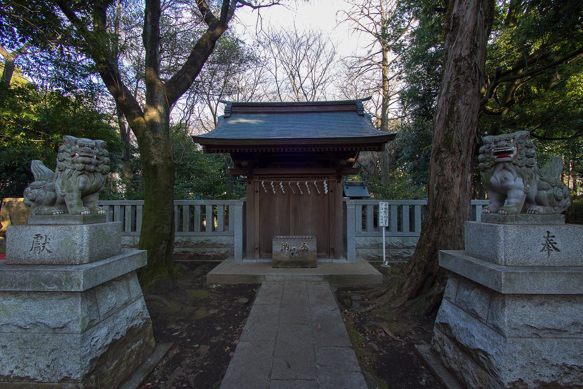 LUMIX G VARIO 7-14mm F4 ASPH
