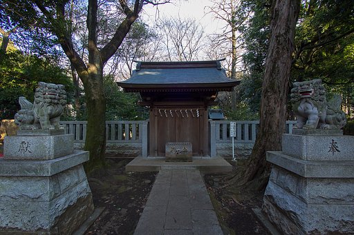 LUMIX G VARIO 7-14mm F4 ASPH