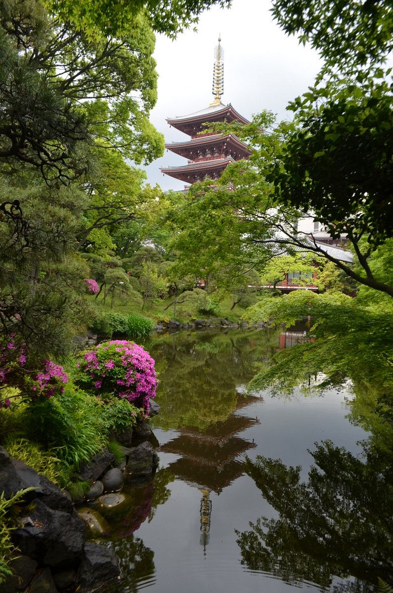 伝法院庭園からの五重塔