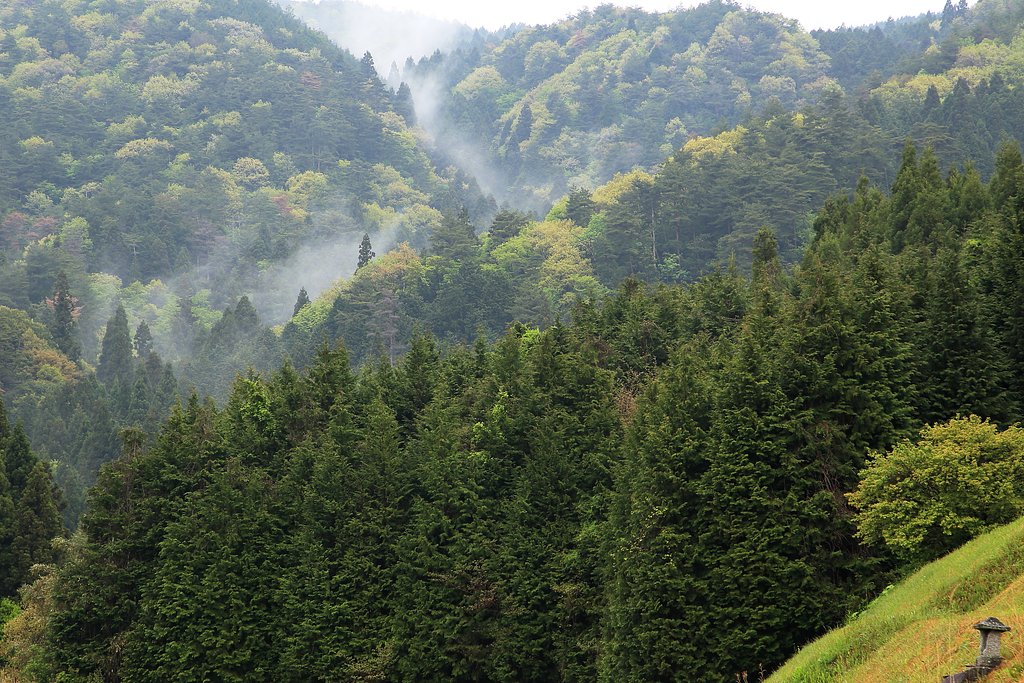 山笑う