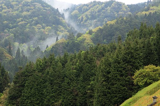 山笑う