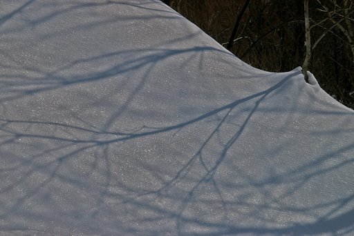 一瞬の狂気の影