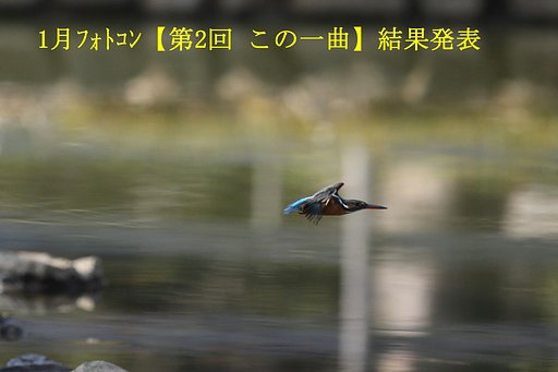 1月フォトコン 結果発表