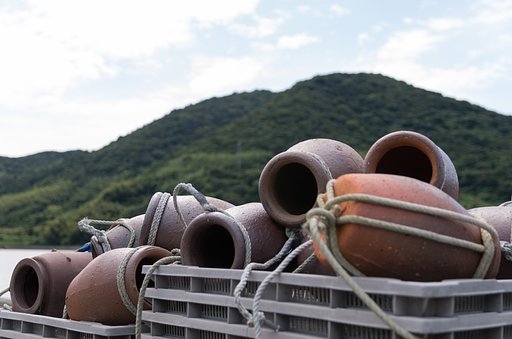 蛸壺