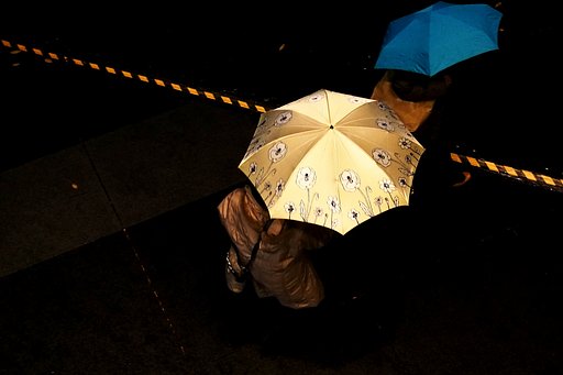 【光】雨に咲く花