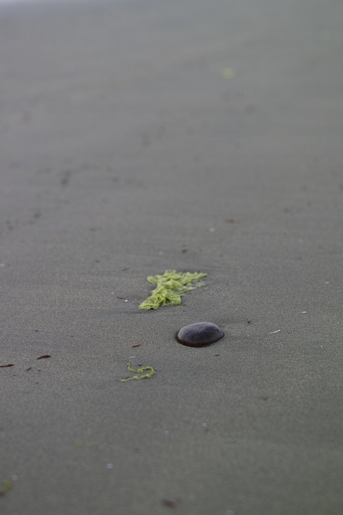 瀬戸の内海