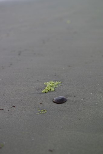 瀬戸の内海