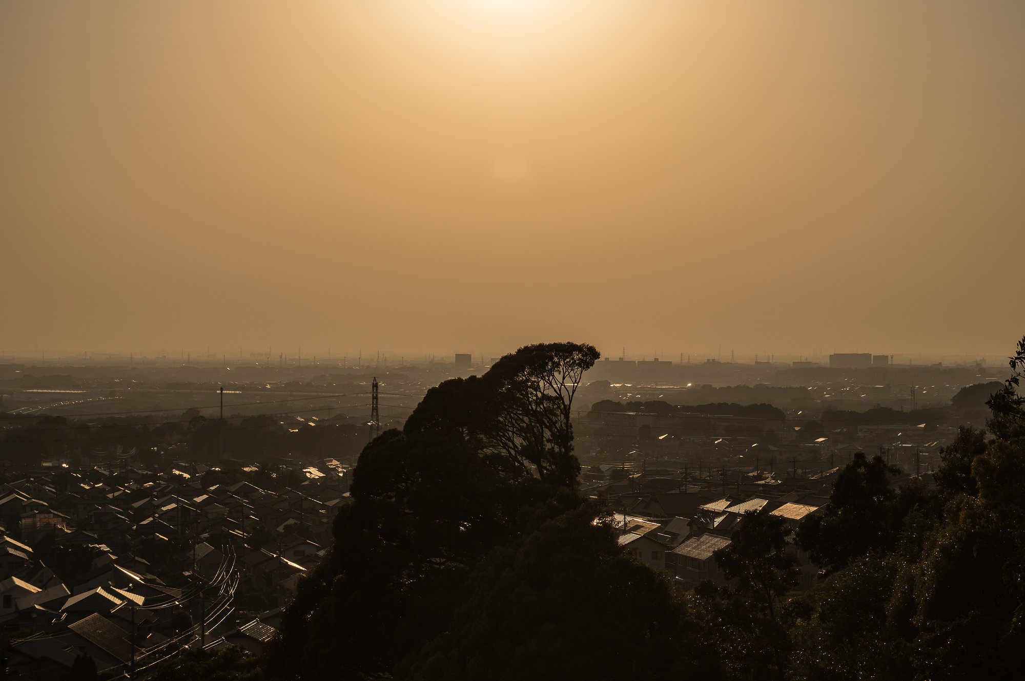 夕暮れに霞む