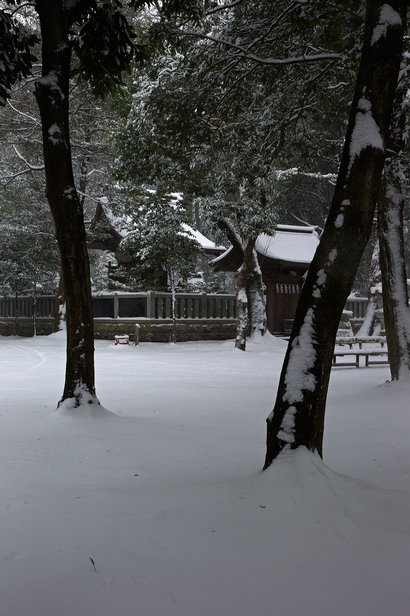 雪の八幡宮