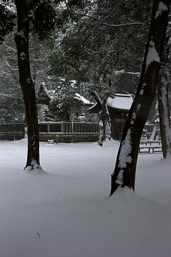 雪の八幡宮