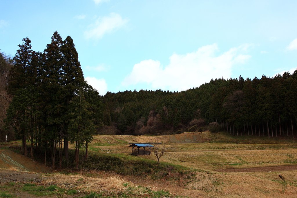 仕事旅ー青い屋根のある風景金成４月