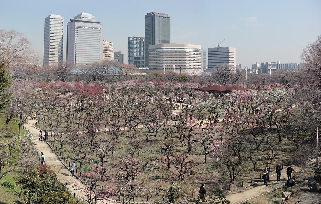 大阪城梅林ステッチ全景