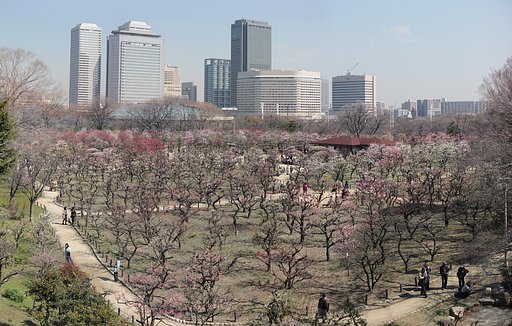 大阪城梅林ステッチ全景
