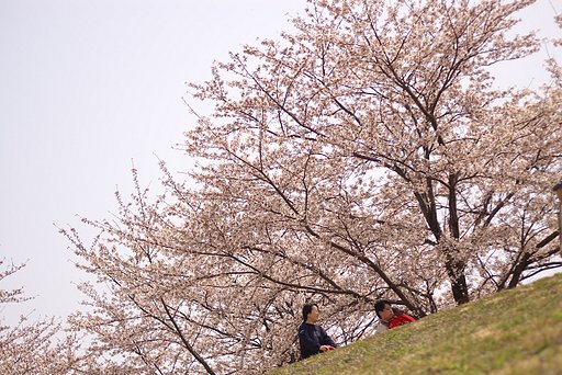 無念！ホフクし過ぎ！