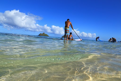 Paddling Boad