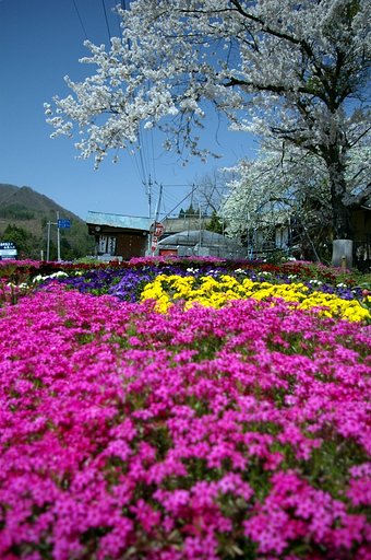 田舎っていいなぁ。