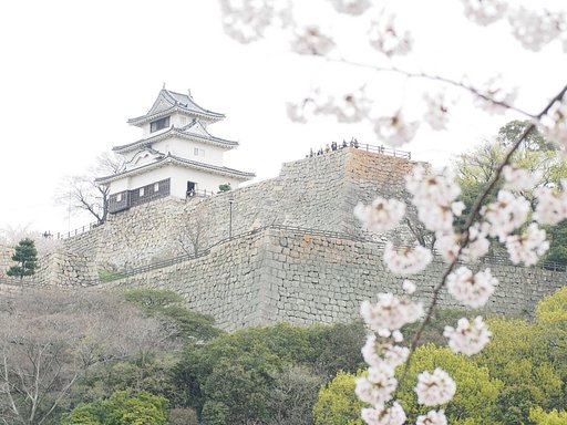 天空の城