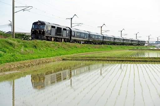田植え後のななつぼしin九州