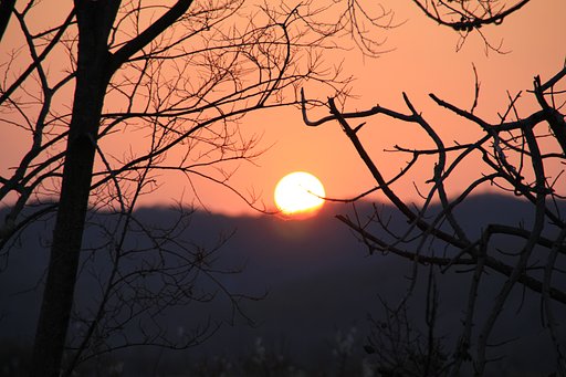 春の夕日