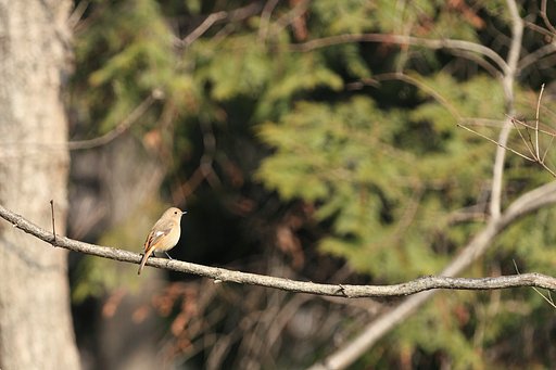公園の片隅の
