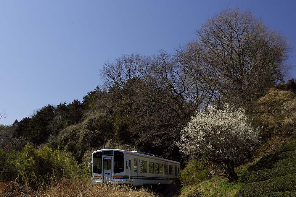 ゴメンね・・沢山・・・