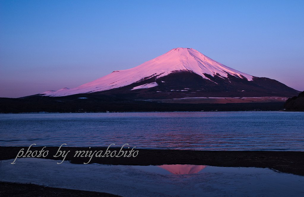 朝陽を浴びて