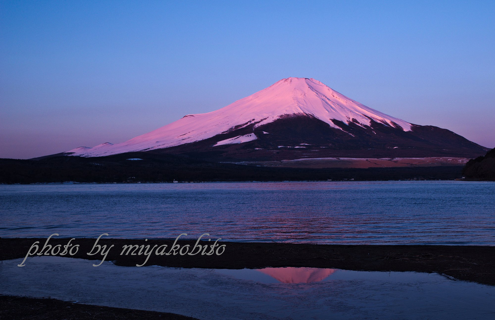 朝陽を浴びて