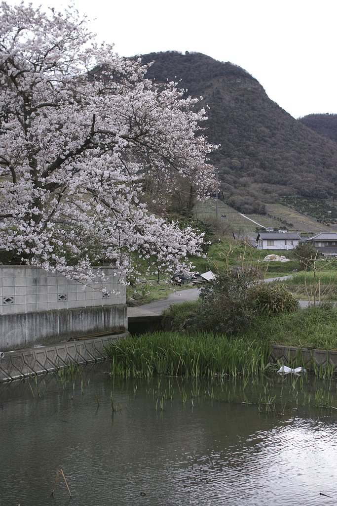 瀬戸の内海