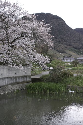 瀬戸の内海