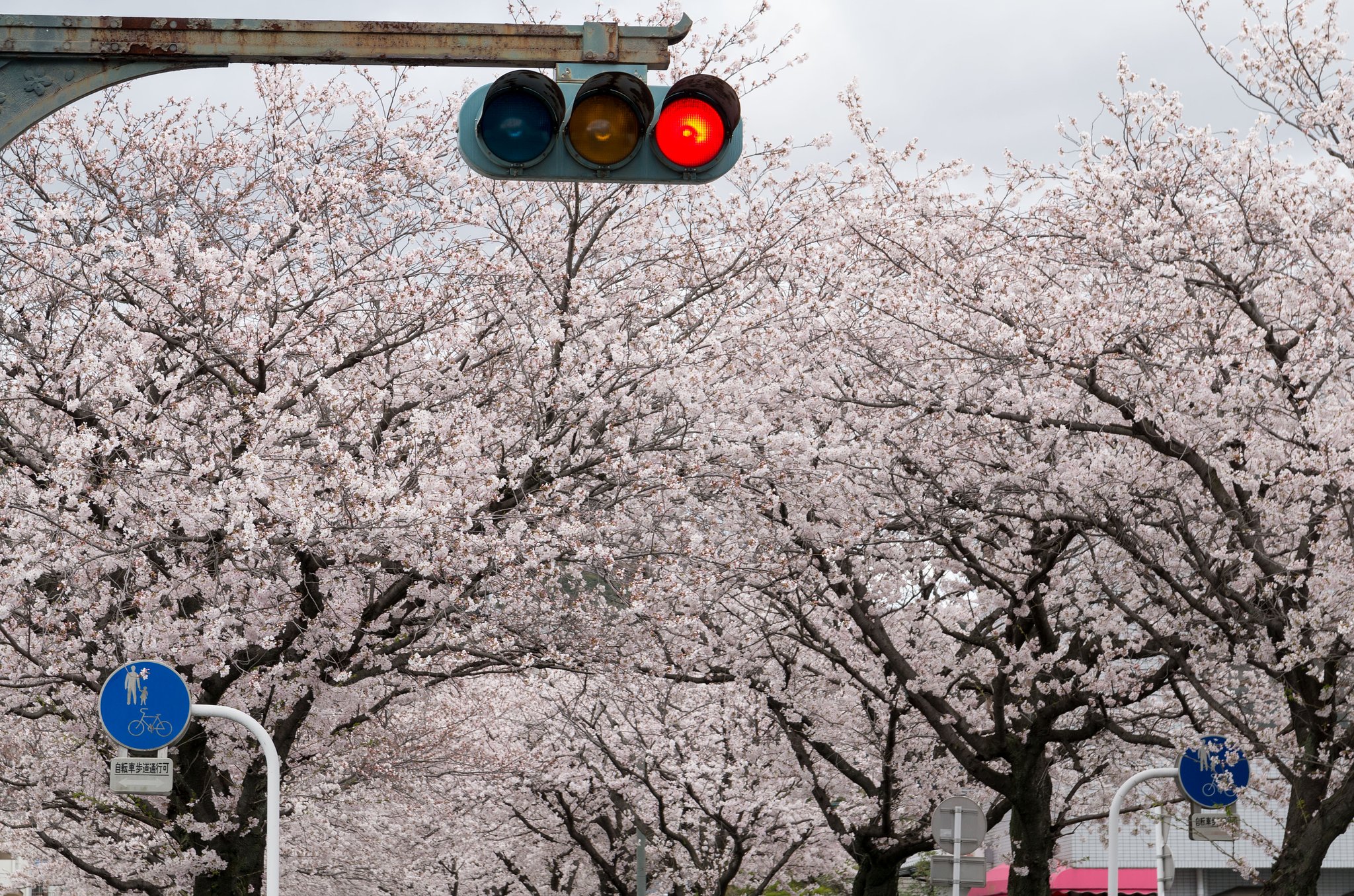 信号機