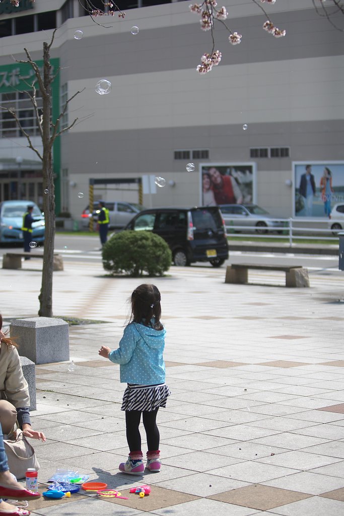 少女とシャボン玉と桜