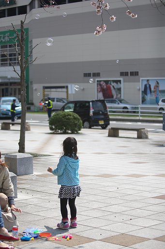 少女とシャボン玉と桜