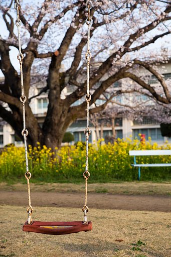 白くないブランコ