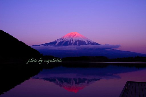 桃色富士子様