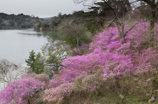 湖畔