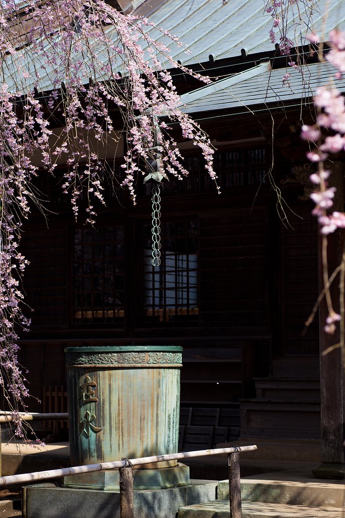 花びら一枚