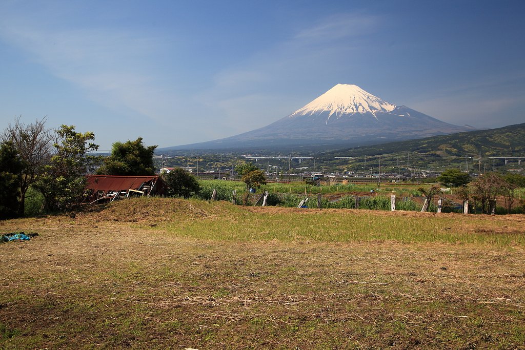 廃屋の風景