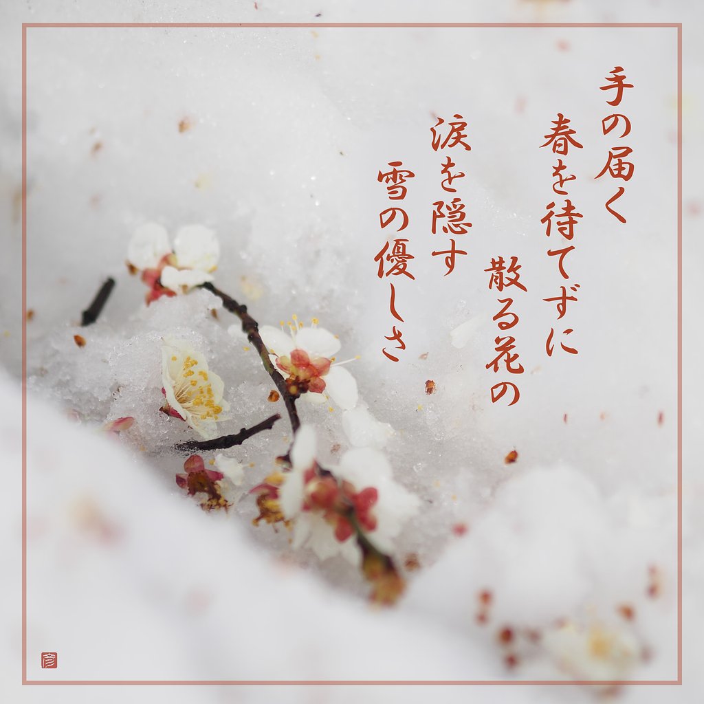 春を待てずに