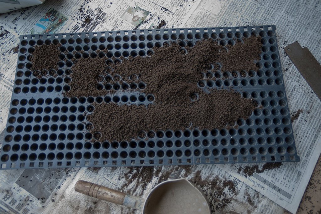 稲作の準備・・。