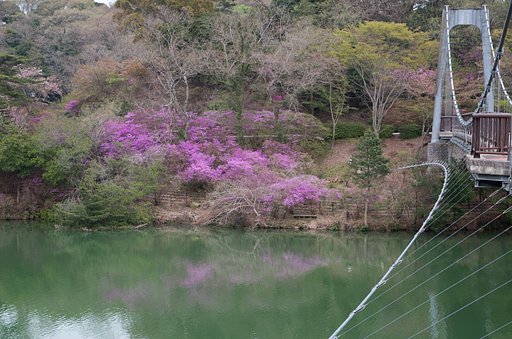 吊り橋