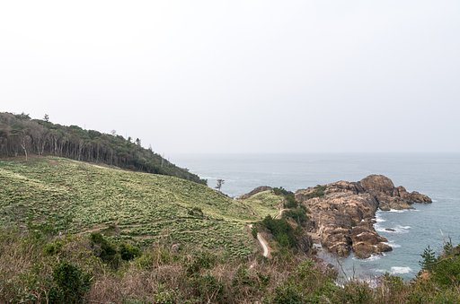 水仙と海