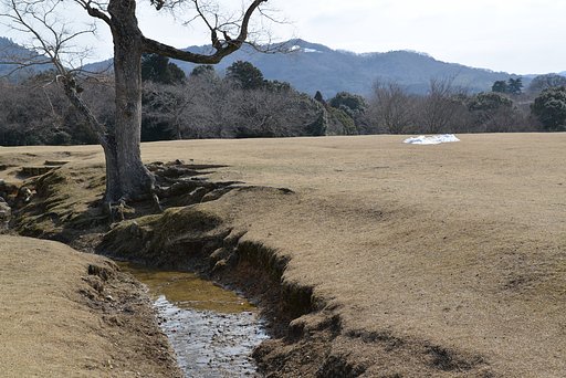 春よ来い