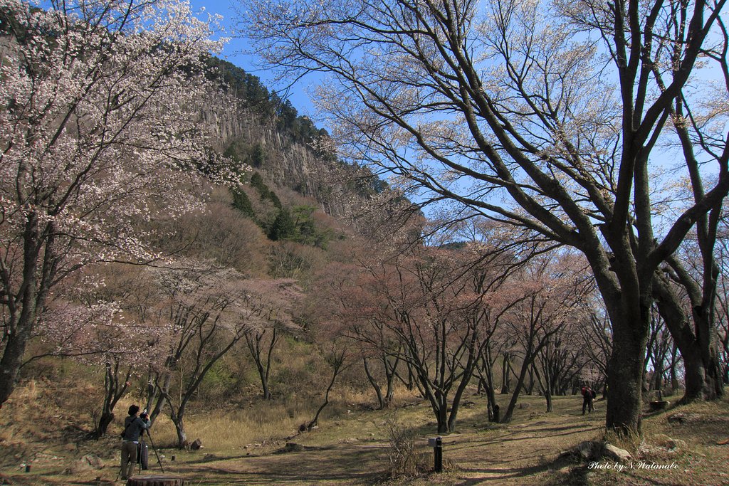 屏風岩