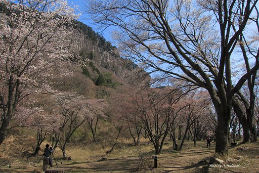 屏風岩