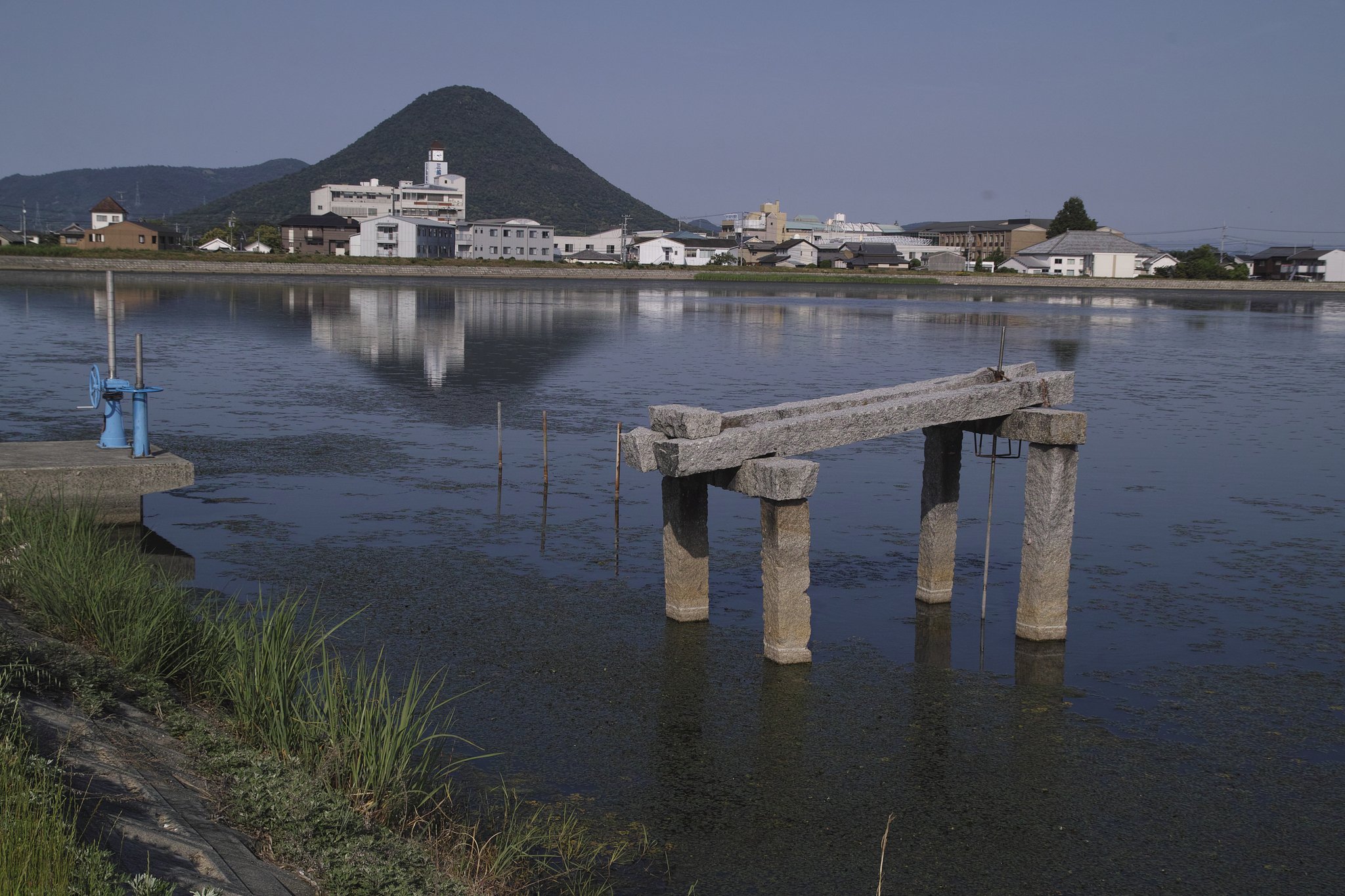 散歩写真