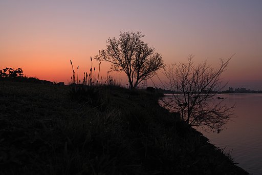 空の輝きが増す頃