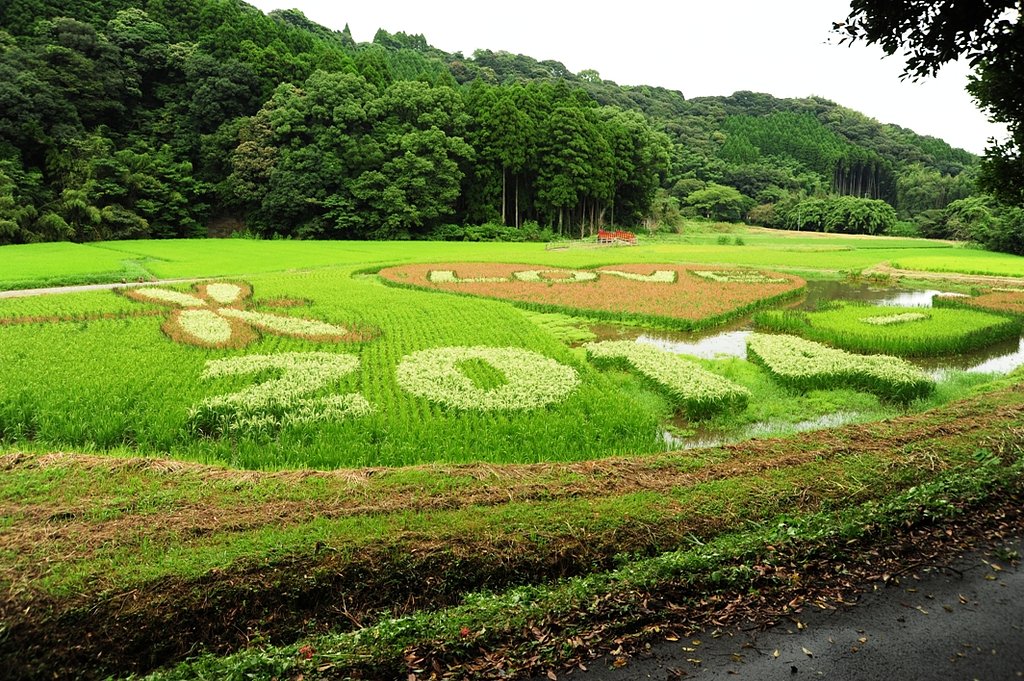 2014　LOVEたんぼ
