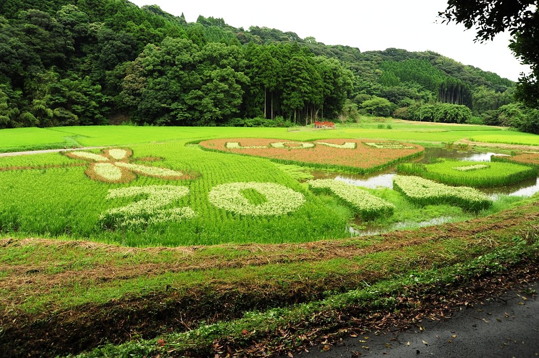 2014　LOVEたんぼ