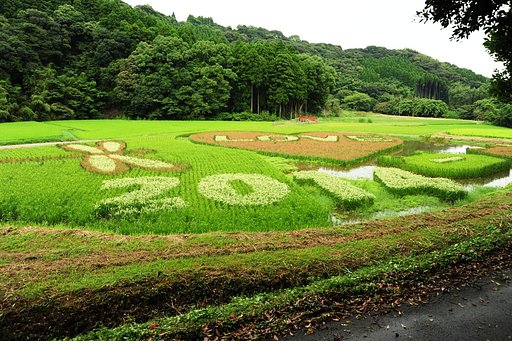 2014　LOVEたんぼ