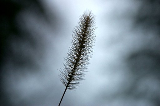 冬の曇り空の下で